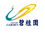 阳西碧桂园地产